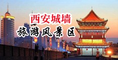 黄色网站日逼吃逼中国陕西-西安城墙旅游风景区